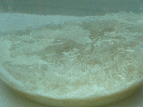 Кристалл из соли в домашних условиях