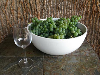 Как приготовить вино из зеленого винограда