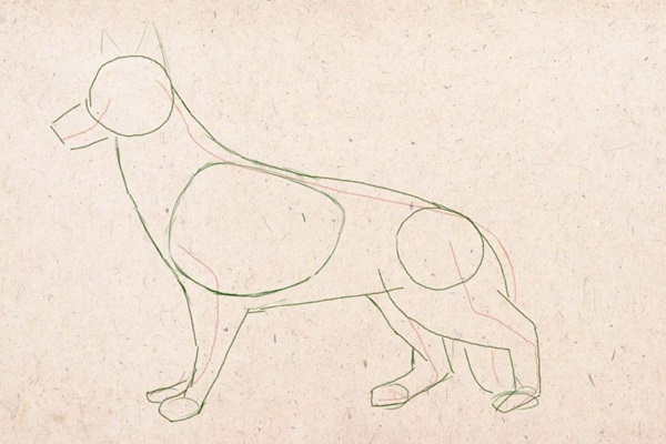 Как легко и красиво нарисовать Собаку символ 2018 года карандашом и красками: мастер-классы для детей и начинающих художников