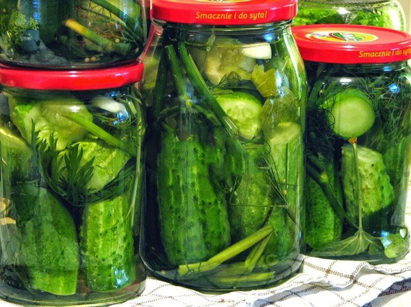 Огурцы холодным способом под капроновой крышкой и металлической. Засолка огурцов холодным способом на зиму: с горчицей, водкой, без уксуса Огурцы холодным способом под капроновой крышкой и металлической. Засолка огурцов холодным способом на зиму: с горчицей, водкой, без уксуса