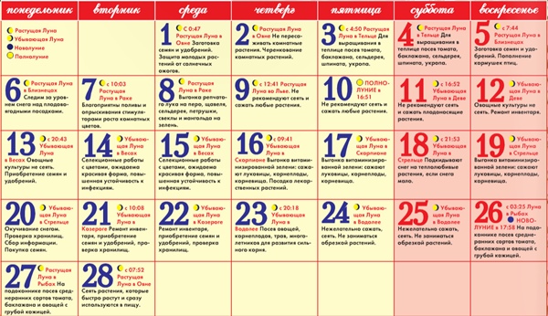 Посевной календарь на февраль 2017