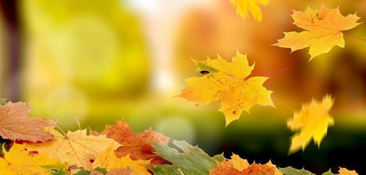 Короткие и красивые стихи про осень для детей в детском саду и школе