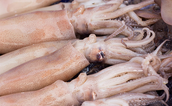 Как правильно варить кальмары для салата, чтобы были мягкими и не безвкусными