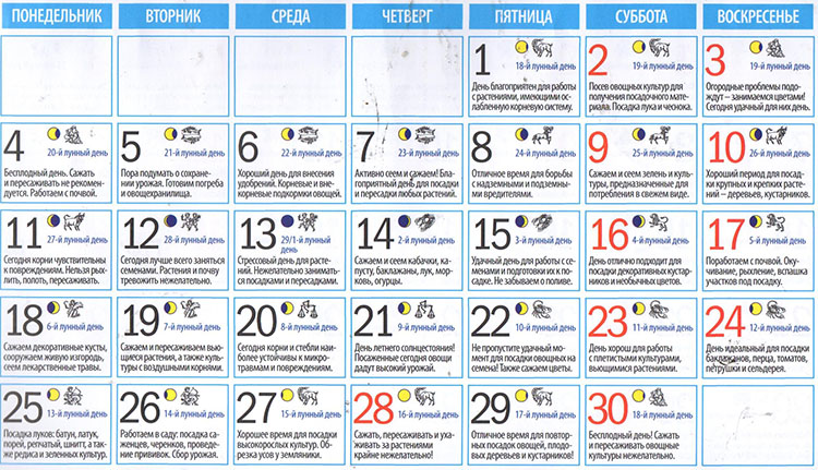 Посевной календарь на июнь 2018 года — таблица с благоприятными днями для работ по лунным фазам садоводам и огородникам