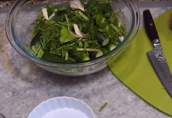 Малосольные огурцы с чесноком и зеленью быстрого приготовления с рассолом и на минералке — быстрые рецепты в кастрюле и банке