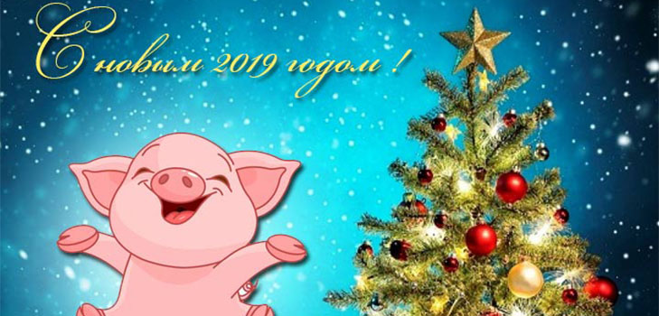 Смс с Новым 2019 годом Свиньи: красивые, смешные и прикольные