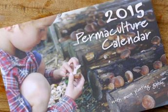 Посевной календарь 2015: планируем работы с января по декабрь