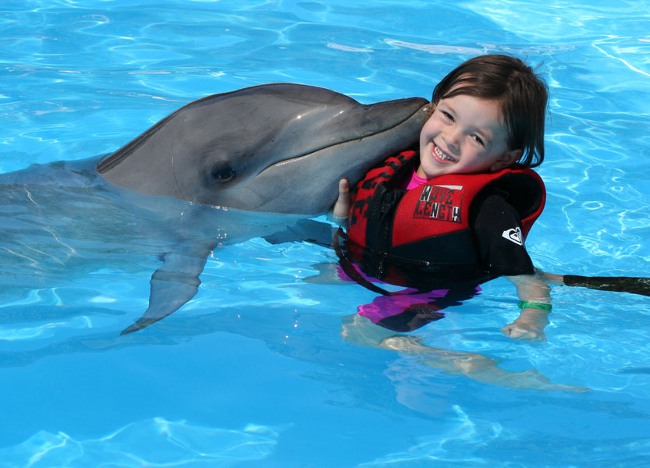Дельфинотерапия: купание с дельфинами