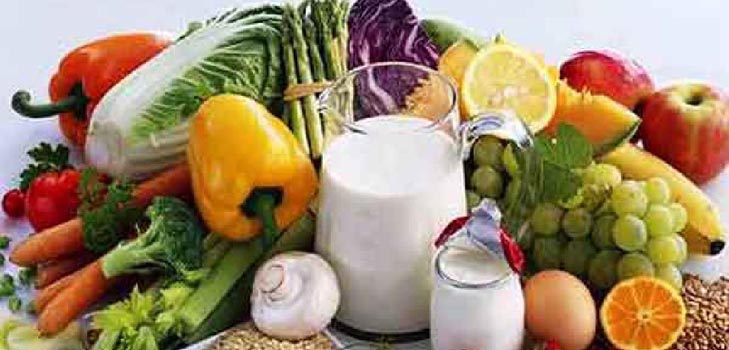 Рациональное питание: распределение белков, жиров и углеводов