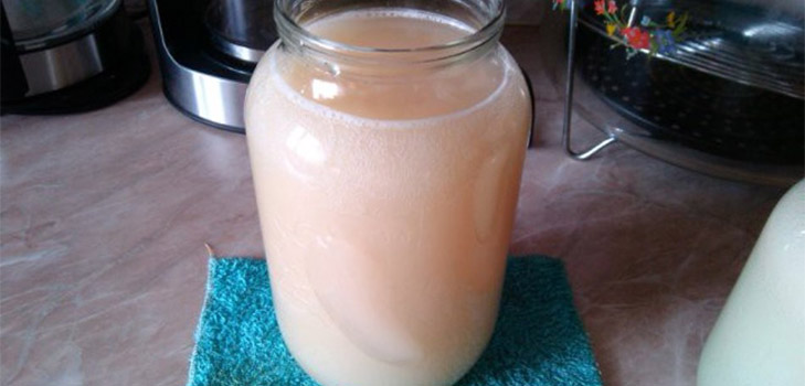 Классический рецепт браги из березового сока