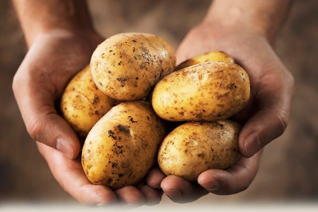 Как хранить картошку зимой