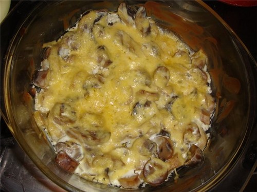 Белые грибы: рецепты приготовления вкусных блюд