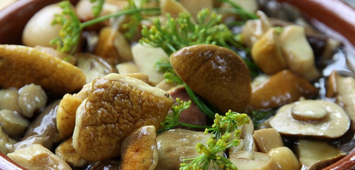 Белые грибы: рецепты приготовления вкусных блюд