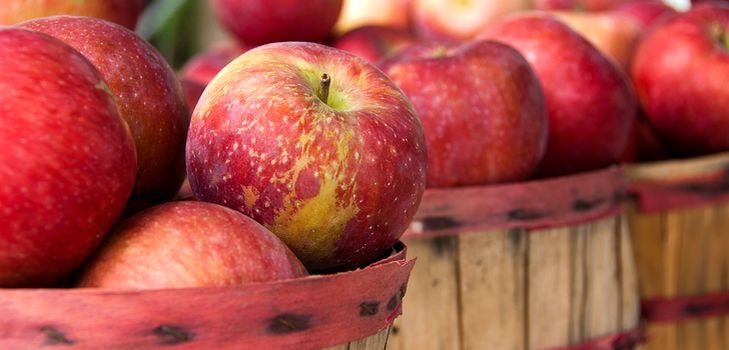 Когда и как собирать урожай яблок