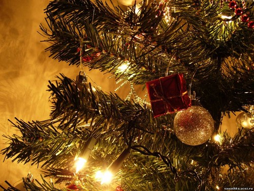 Католическое Рождество 2015: поздравляем родных и близких