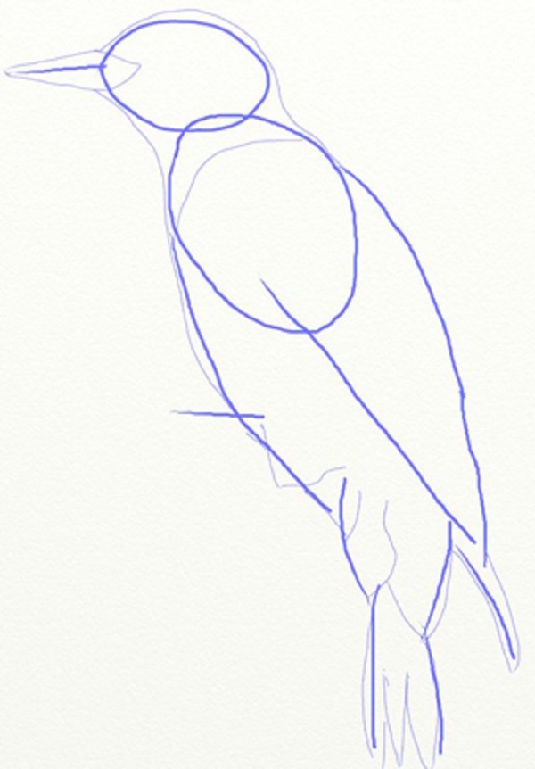 Как нарисовать птицу карандашом поэтапно для ребенка 5 лет thumbnail