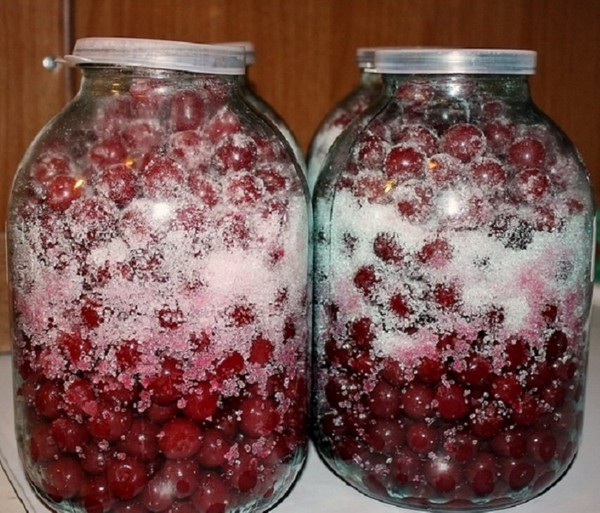 Рецепт наливки из вишни в домашних условиях на водке в трехлитровой банке рецепт с фото