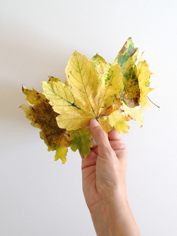Поделки из листьев на тему «Осень» своими руками для школьников