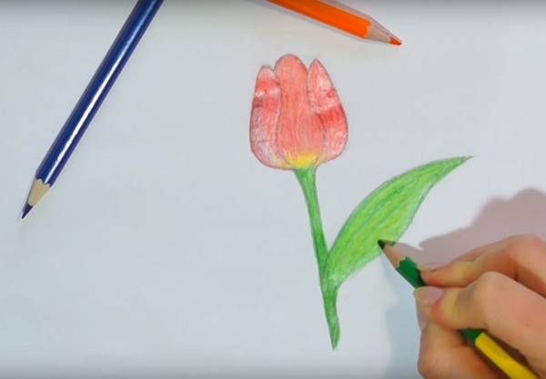 Рисунок на День матери своими руками: карандашом, красками, в детский сад, школу