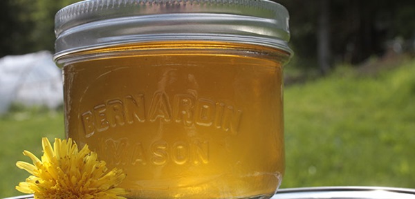 Варенье и мед из одуванчиков с лимонной кислотой и без кислоты