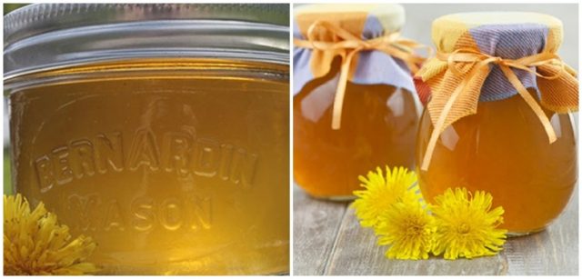 Как сварить мед из одуванчиков в домашних условиях рецепт с фото