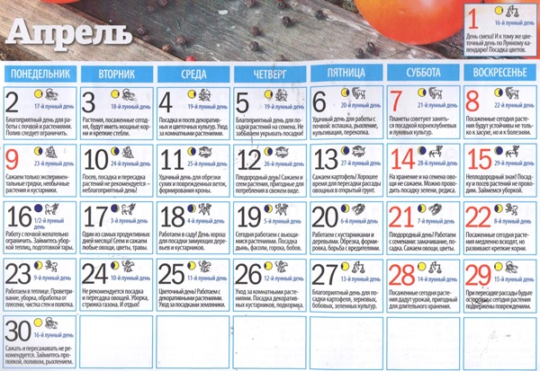Лунный посевной календарь на апрель 2018 для садоводов-огородников и цветоводов России (таблицы)