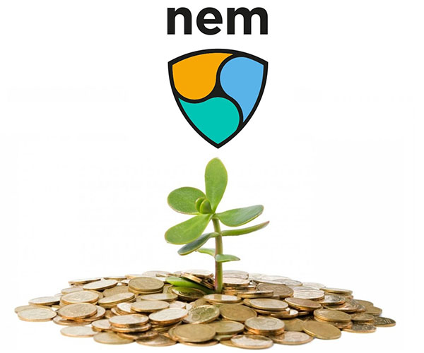 Криптовалюта NEM: прогноз курса в 2018 году, где можно купить за рубли