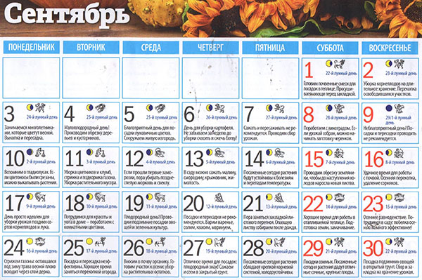 Лунный посевной календарь на сентябрь 2018 года для Подмосковья и средней полосы России