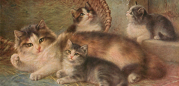 20 редких старинных имен для котов и кошек