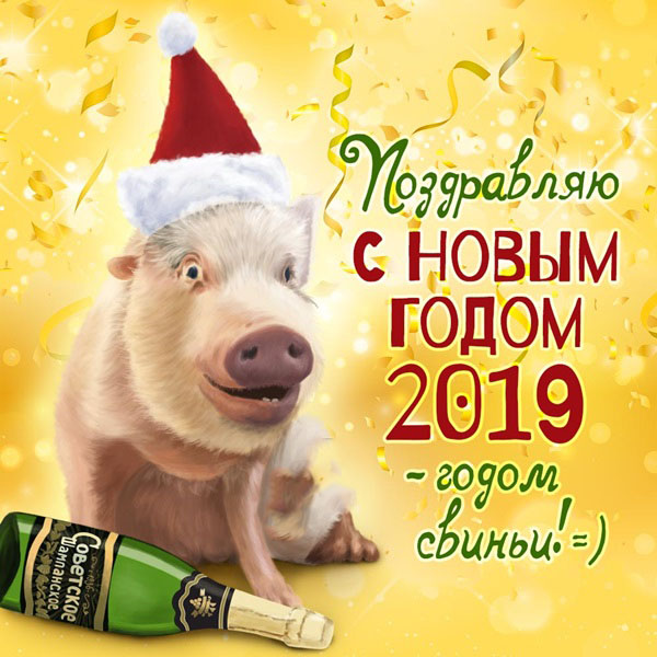 Красивые открытки коллегам с Новым 2019 годом Свиньи и Рождеством