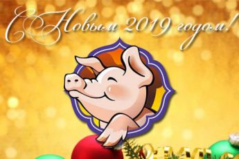 Красивые и прикольные поздравления друзьям с Новым 2019 годом Свиньи