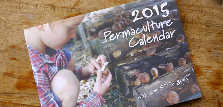 Посевной календарь 2015: планируем работы с января по декабрь