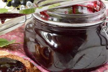 Красная и черная смородина с сахаром без варки на зиму: 9 идеальных рецептов