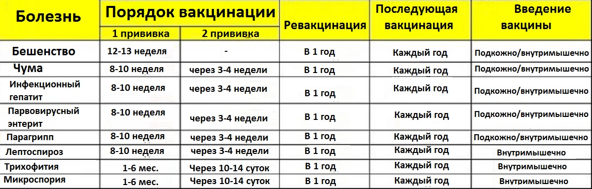 Схема лечения микроспории