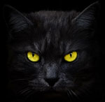 Приметы и суеверия, связанные с кошками