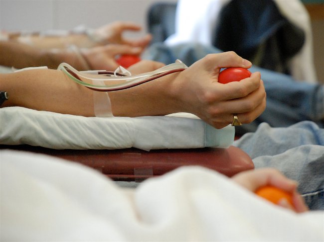 Как стать донором крови?
