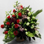 Флористика для начинающих