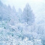 Как фотографировать зиму?