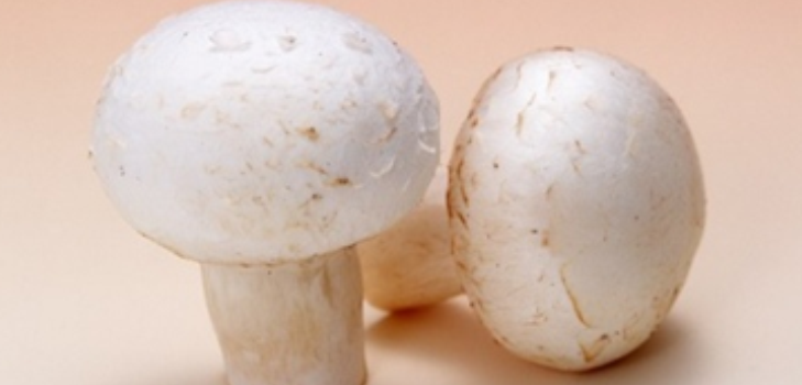 грибы шампиньоны