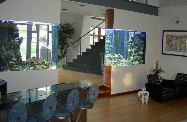 Дизайн интерьера: аквариум